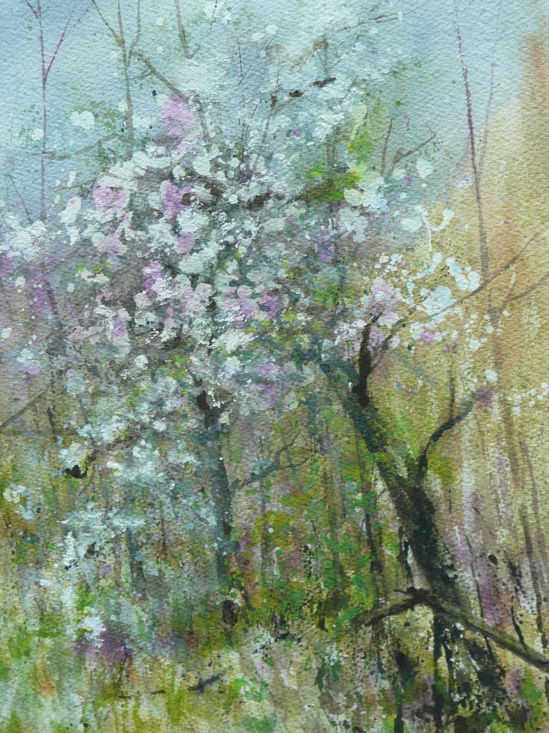 Apple Blossom painting